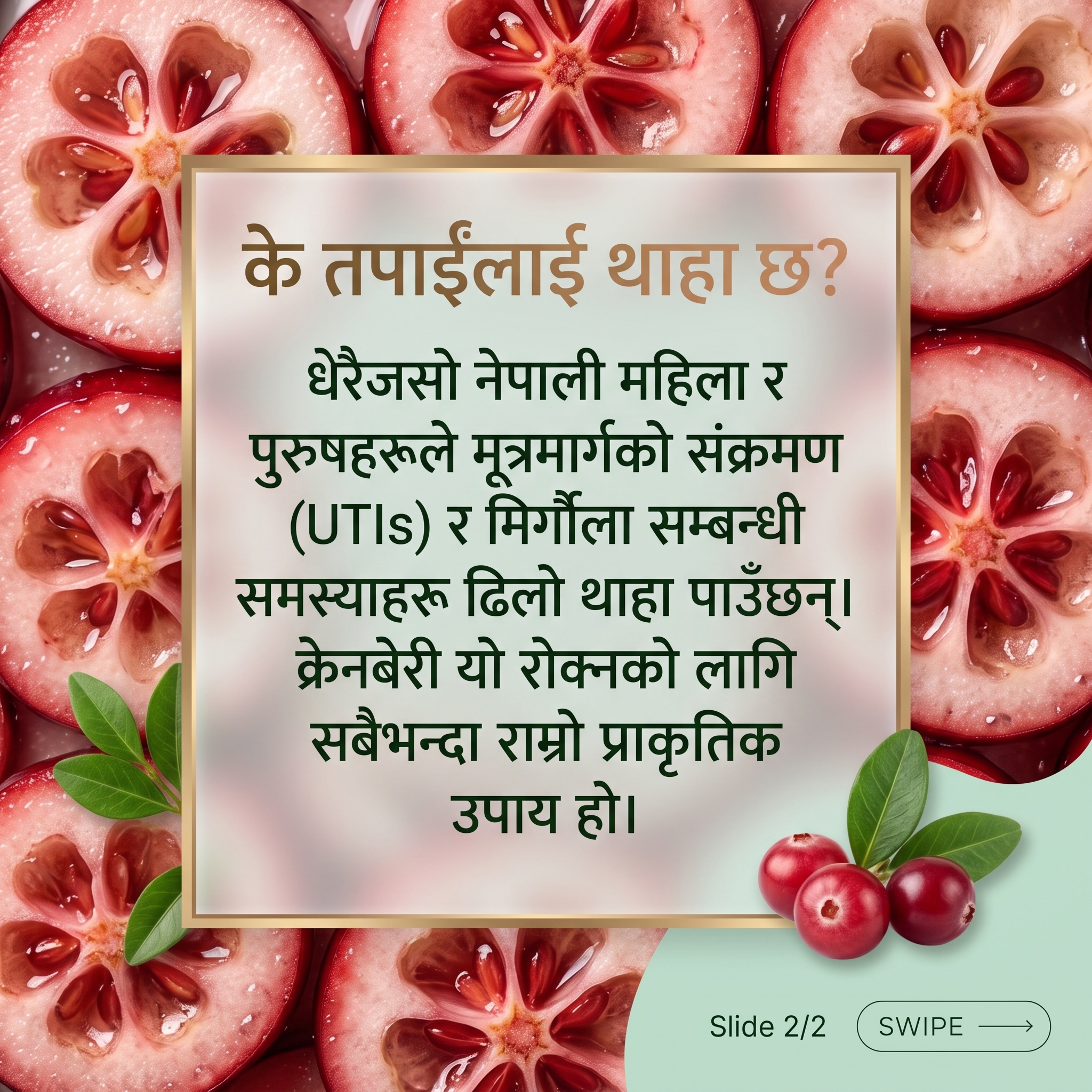 UTI-Defense Whole Dried Cranberry & Mountain Hibiscus Chilled Tea